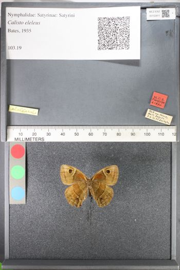 Media type: image;   Entomology 102811